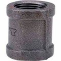Anvil 1-1/4 In. Black Malleable Coupling 150 PSI Lead Free 810080812